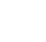 ML/DL Custom Development